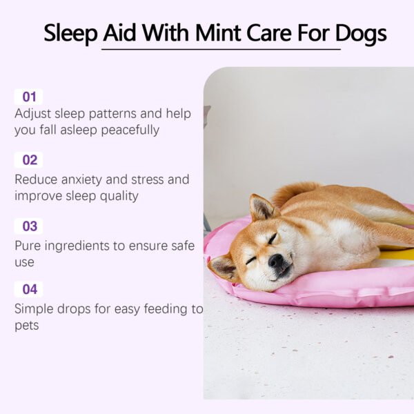 Dog Sleep Drops Care For Night Sleep - Image 4